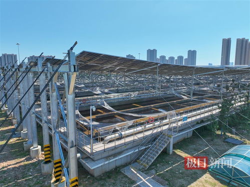 武漢黃家湖污水處理廠分布式光伏項目并網發電，每天可發電近2萬度